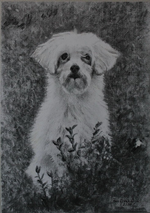 Silke